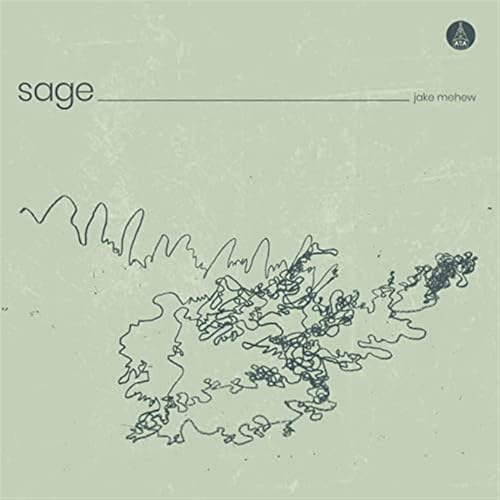 Pale green vinyl record cover with abstract black line drawing.