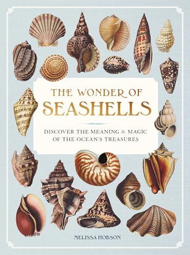 Book cover titled The Wonder of Seashells featuring various illustrated seashells on a blue background.