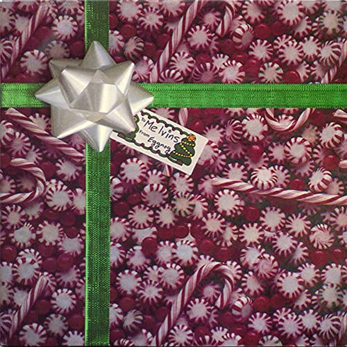 Gift-wrapped vinyl record with a silver bow and candy cane paper.