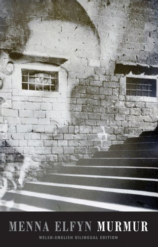 Book cover featuring a stone wall with barred windows above a staircase.