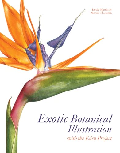 Watercolor painting of a Bird of Paradise flower, book cover.