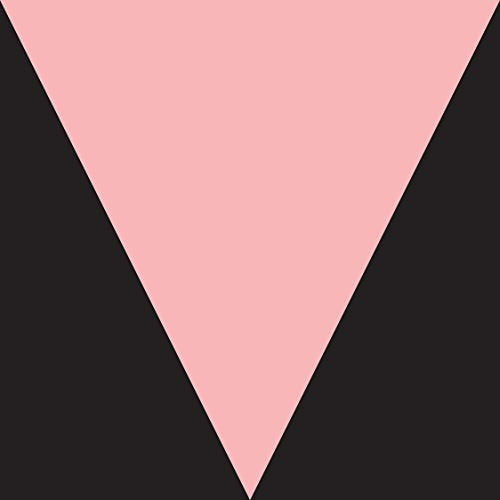 Pink triangle on black background, album art for Meshell Ndegeocello.