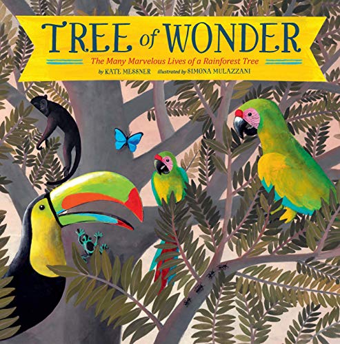 Book cover: rainforest tree with toucan, parrot, monkey, and butterfly.