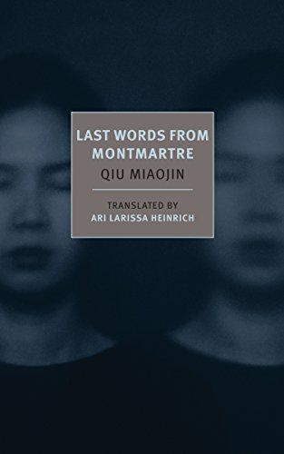 Book cover with a blurred face and a central gray box containing book information.
