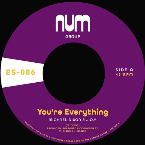 Purple and black vinyl record label with white text: "You're Everything.
