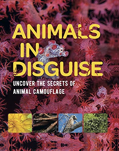Book cover, “Animals in Disguise,” featuring a nudibranch and camouflage examples.