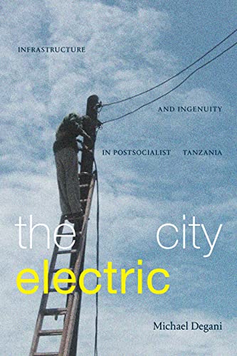Book cover: worker on ladder near power lines, blue sky.