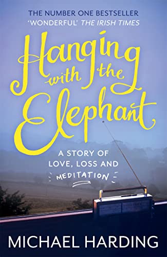Book cover: “Hanging with the Elephant” with a radio and misty landscape.