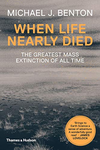 Book cover: "When Life Nearly Died" with a textured, sandy background.