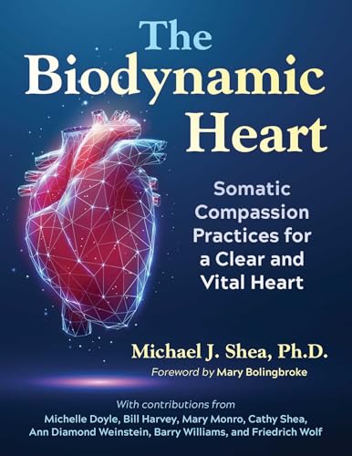 Book cover featuring a glowing, polygonal heart illustration.
