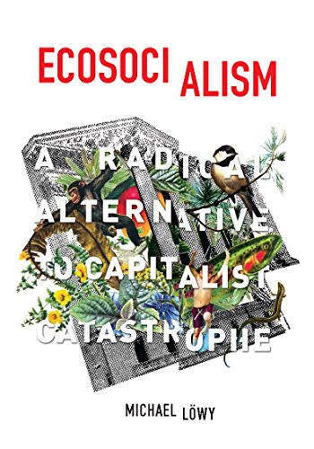 Book cover with red title, jungle imagery, and author Michael Löwy’s name.