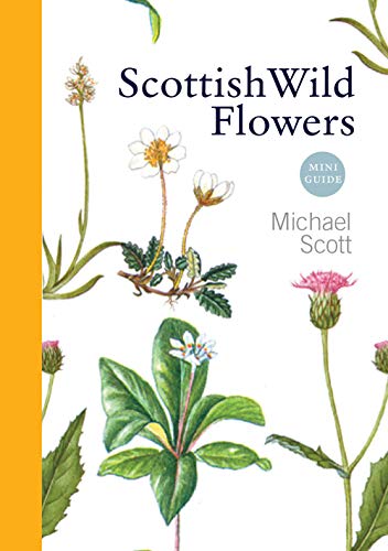 Book cover for Scottish Wild Flowers featuring botanical illustrations of various wildflowers on white.