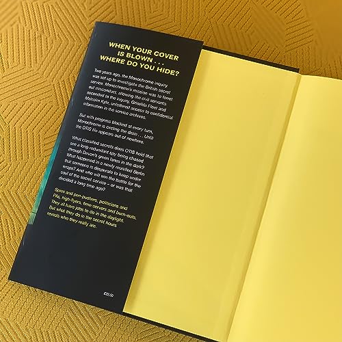 Open book, "The Secret Hours," with yellow pages and dark cover.