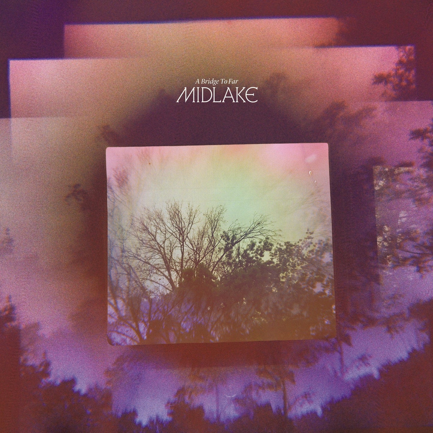 Album cover with layered, hazy purple tree silhouettes and a central bright landscape image.