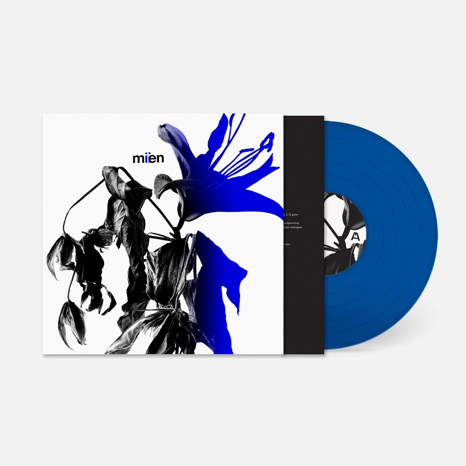 Vinyl record with blue and white floral cover art, side view.