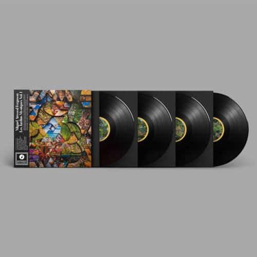 Vinyl box set showing a mosaic cover art and four black vinyl records.