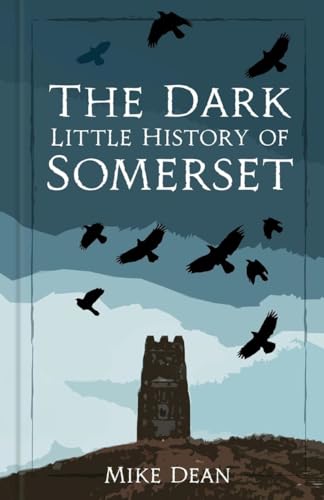 Book cover: dark blue, silhouetted birds, tower, and title text.