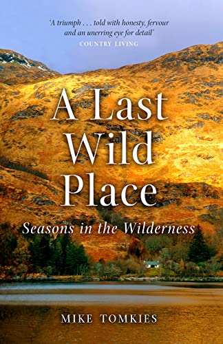 Book cover showing a golden mountain landscape, a small house, and a lake.