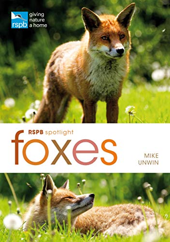 Book cover featuring a reddish-brown fox in a grassy field.
