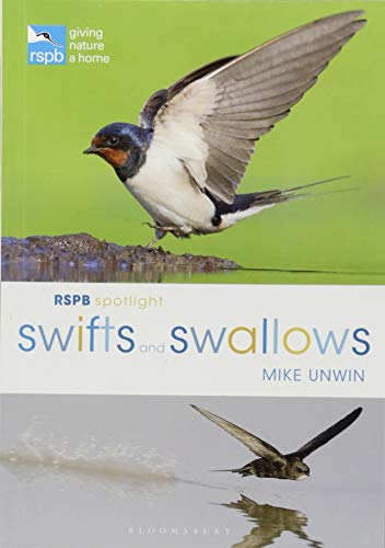 Book cover featuring a swift in flight over a watery landscape.