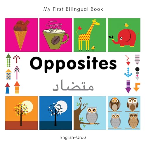 Bilingual children’s book cover with colorful illustrations of opposites.
