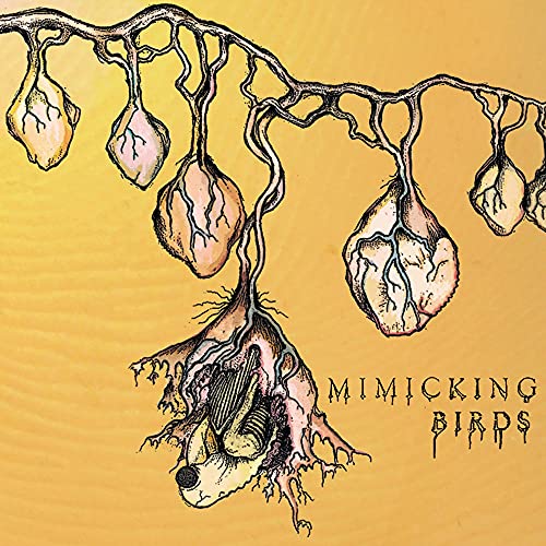 CD cover art: yellow background with detailed, dark branch and pod illustration.