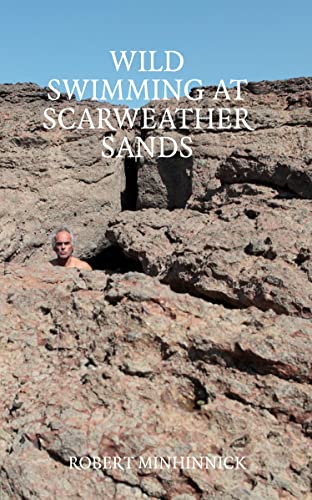 Book cover: rocky coastline with a swimmer’s head visible.