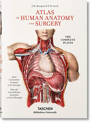 Book cover showing a detailed anatomical illustration of a human torso and chest organs.