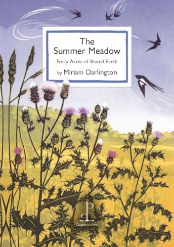 Book cover illustration of purple thistles in a meadow with swallows flying overhead.