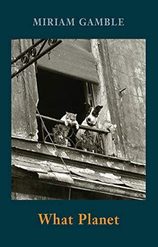 Book cover: "What Planet" by Miriam Gamble, featuring cats and a dog.