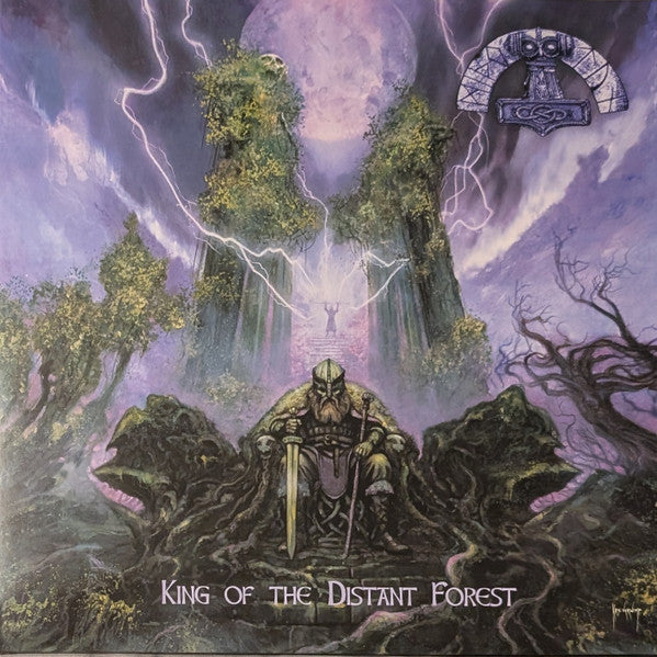 Painted album cover depicting a bearded warrior in a stormy forest.