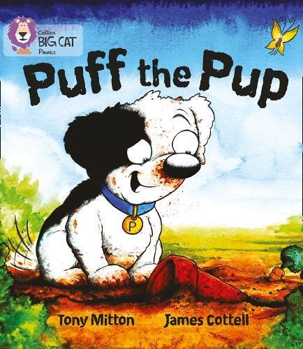 Book cover: a black and white puppy with a red ball and butterfly.