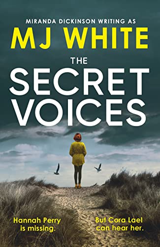 Book cover: "The Secret Voices" with a lone figure on a beach.