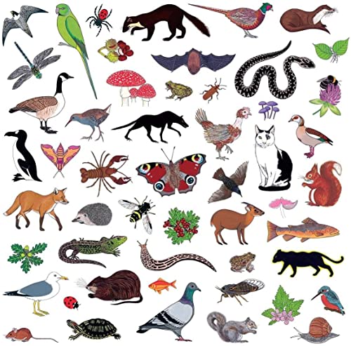 CD cover with detailed illustrations of various animals and plants.