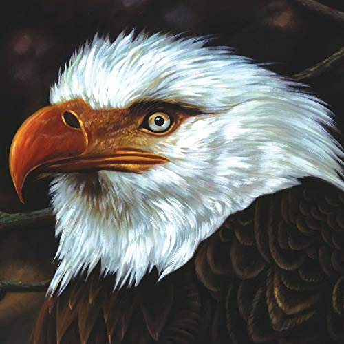 Painted portrait of a hawk’s head and shoulders, facing left.