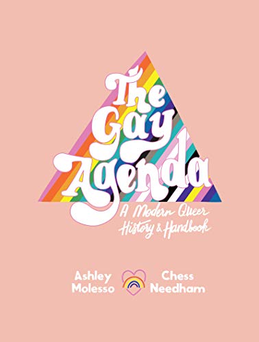 Book cover with rainbow triangle and title "The Gay Agenda" by Ashley Chess.