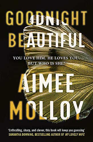 Book cover: "Goodnight, Beautiful" by Aimee Molloy, with a butterfly image.