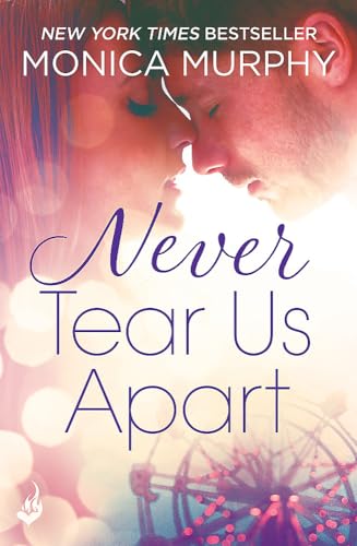 Book cover: couple embracing, bright light, Ferris wheel in background.
