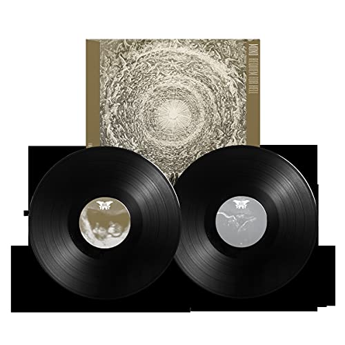 Double vinyl record with abstract, swirling cover art and black sleeves.