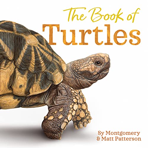 Book cover featuring a detailed illustration of a tortoise.