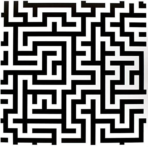 Black and white vinyl record cover featuring an abstract maze design.