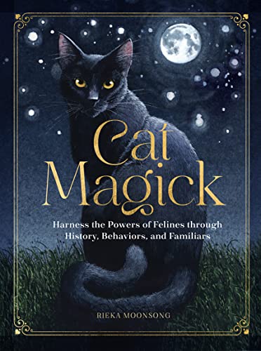Book cover featuring a black cat with glowing eyes under a full moon.