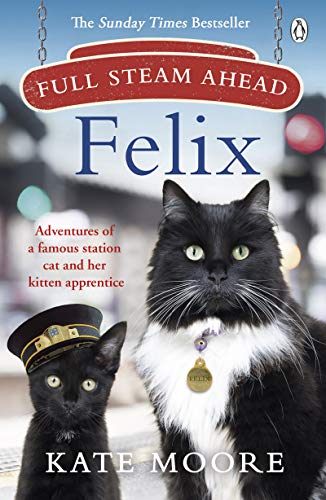 Book cover featuring a black and white adult cat and a black kitten.