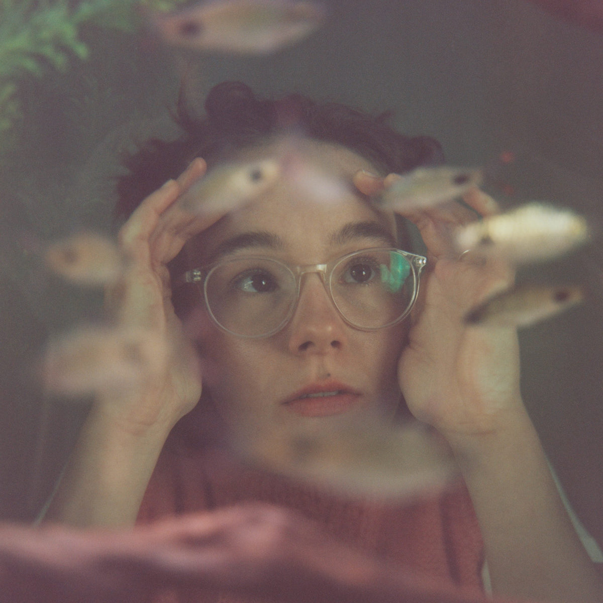 A person with glasses presses their hands against glass, surrounded by swimming fish.