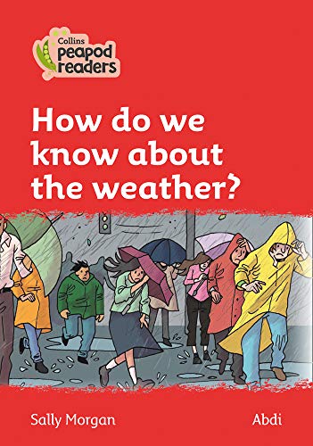 Book cover: people with umbrellas in rainy city street scene.