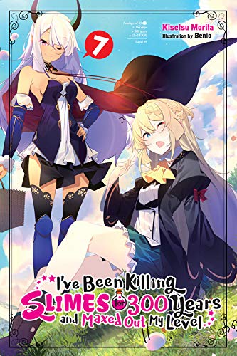 Light novel cover featuring two anime-style girls with fantasy elements.