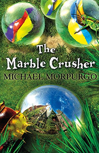 Book cover with marbles, grass, insects, and a reflected village.