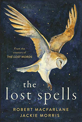Book cover: a barn owl in flight against a starry, dark blue background.