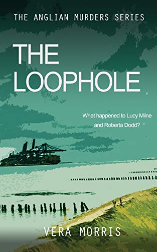 Book cover with a shipwreck, beach, and large white title: "The Loophole".
