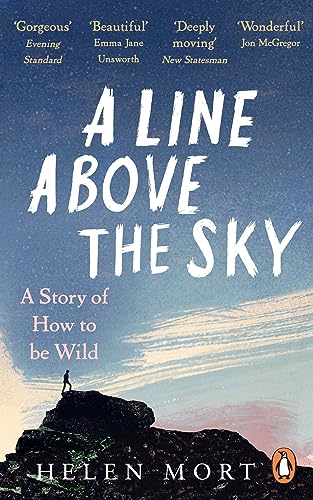 Book cover: mountains, starry sky, and white, bold title text.